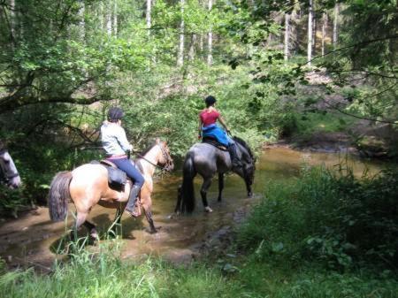 Aux Massotais 3*
