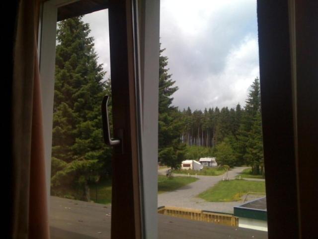 Aux Massotais 3* Petites Tailles